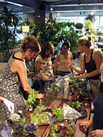 Women participating in a terrarium class