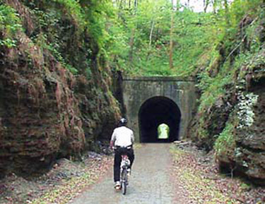 A view of the biking trail in the Shawnee National Forest