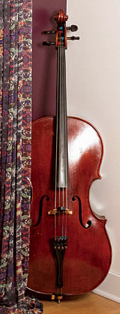 A Gary Garavaglia cello