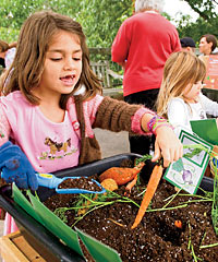 Kids digging up vegetables on World Environment Day