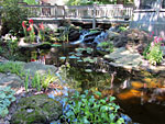 A garden with a pond