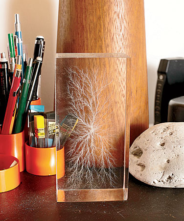 ACRYLIC LICHTENBERG SCULPTURE