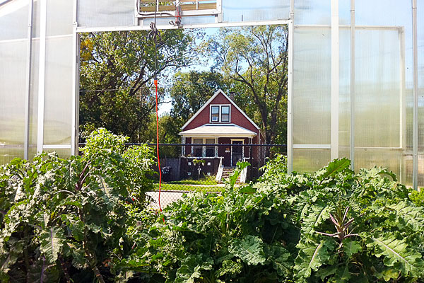 A view of the house across the street from Wood Street Urban Farm