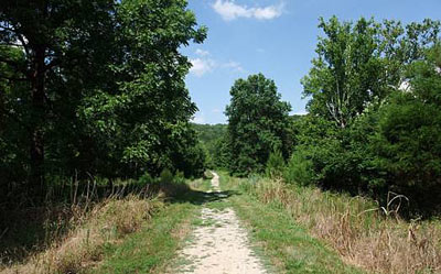 What lies at the end of the path? A trail in Route 66 State Park