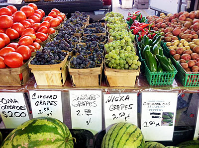 Vegetables at Joseph Decuis Farm