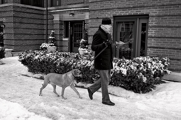 Aleksandar Hemon and his dog, Billie