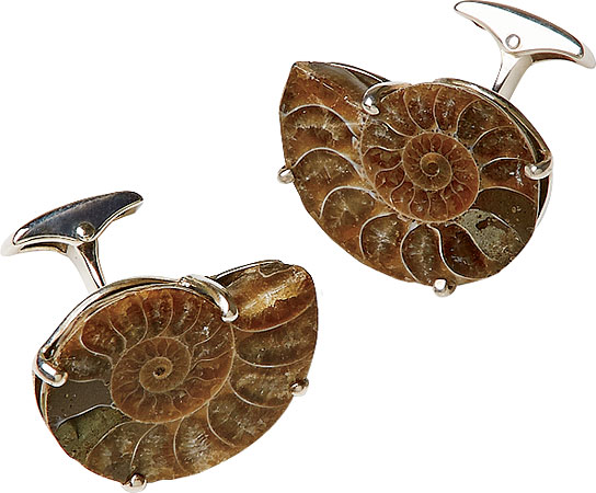 Ammonite and sterling cufflinks