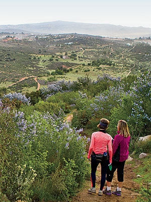 Hiking Mount Kuchumaa at Rancho La Puerta