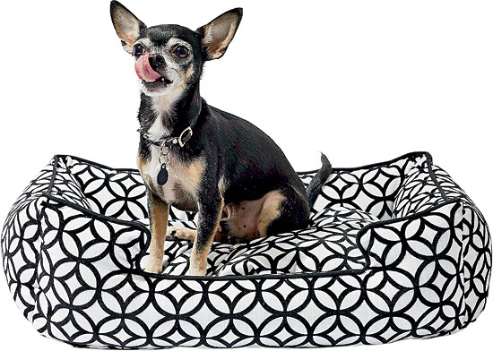 Jax & Bones Dog Bed