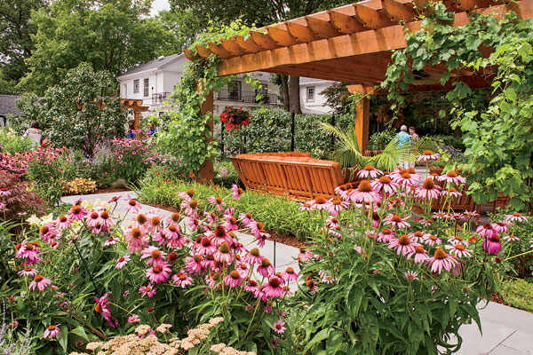 Winnetka house cedar pergola