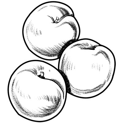Peaches illustration