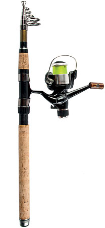 Fishing pole