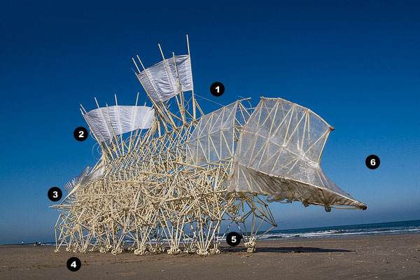 Strandbeest