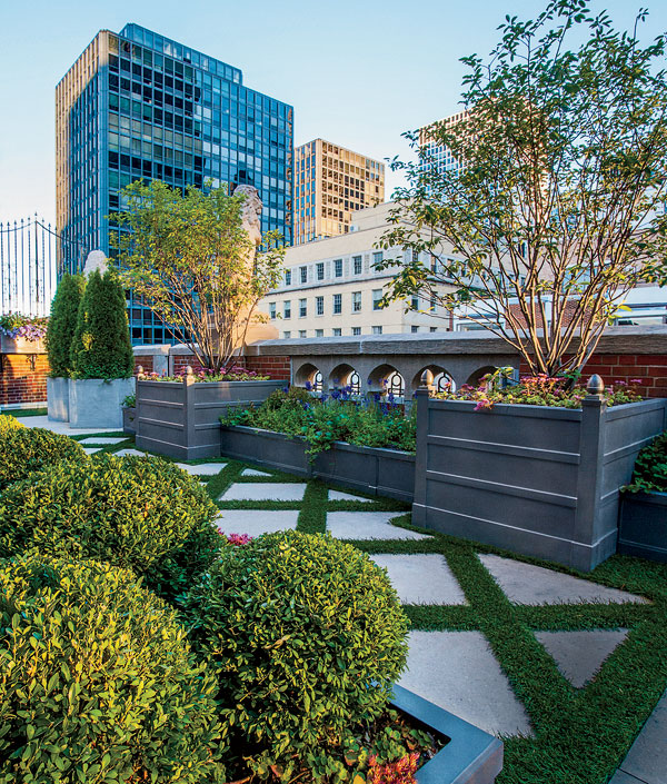 Terrace plants