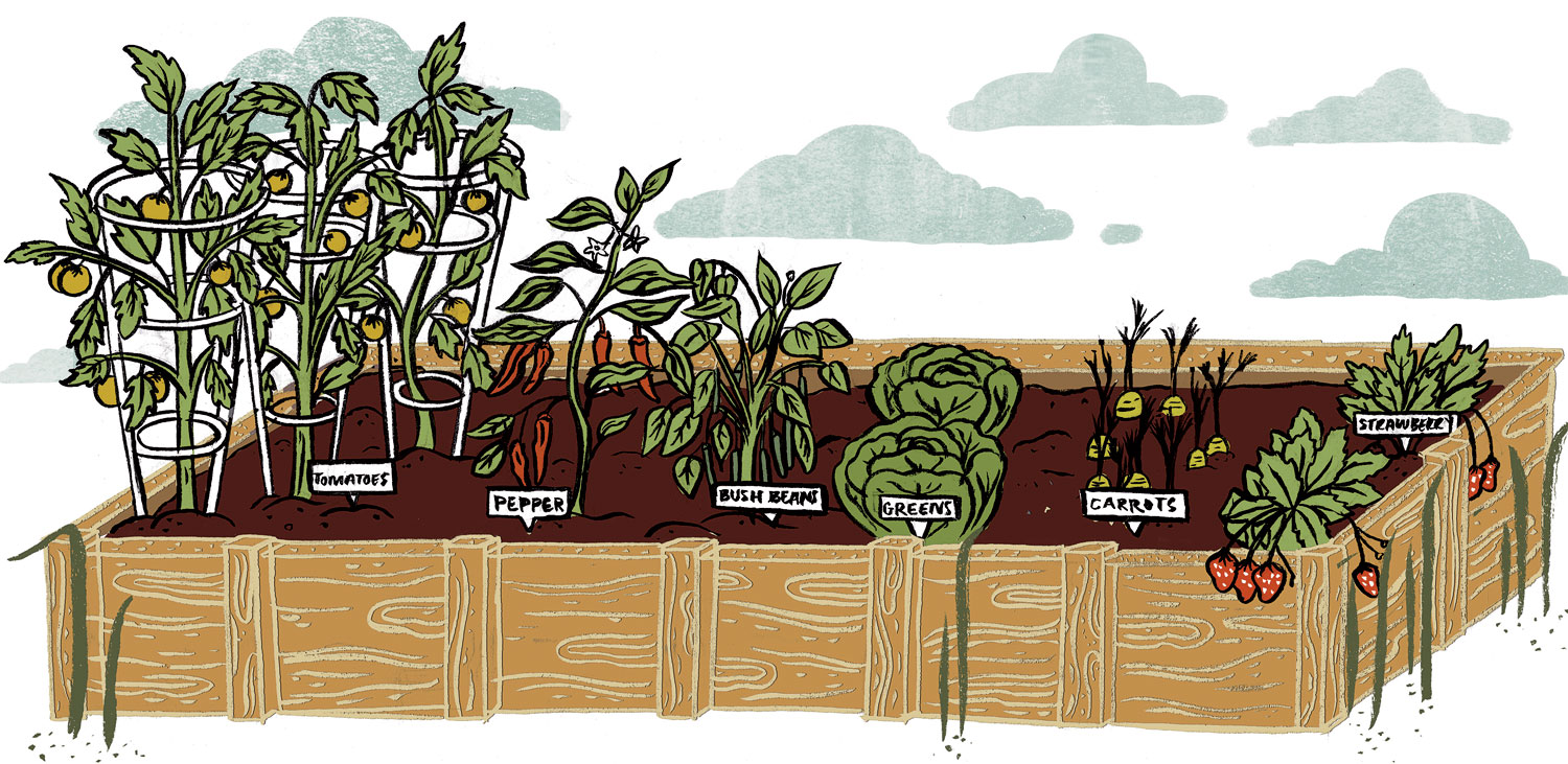 Six Things to Plant in the Ideal Starter Garden - Chicago Magazine