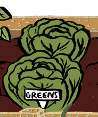 Greens illustration
