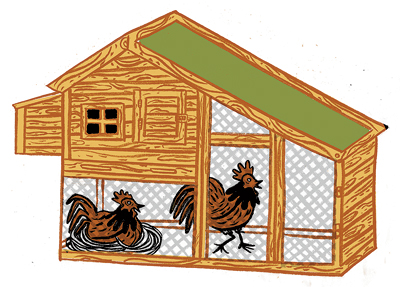 Chicken coop illustration