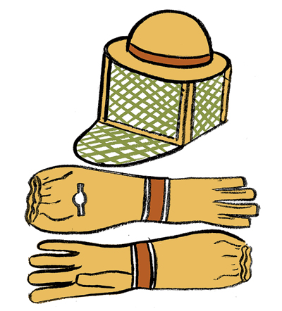 Beekeeping equipment illustration