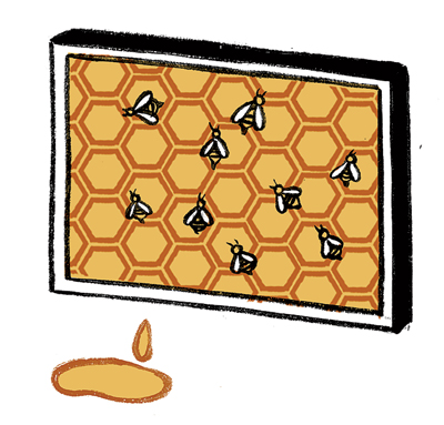 Honeycomb illustration