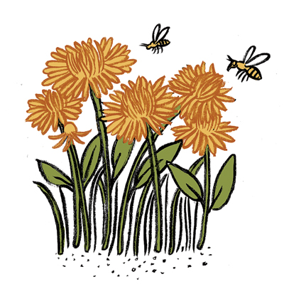 Bees and dandelions illustration