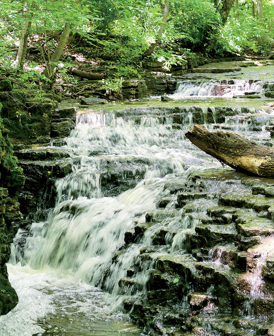 Waterfall Glen Forest Preserve