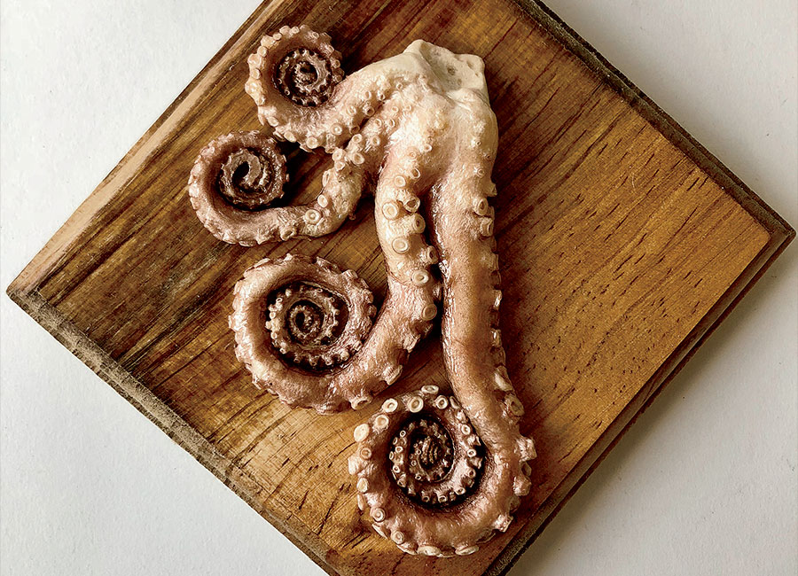 Octopus