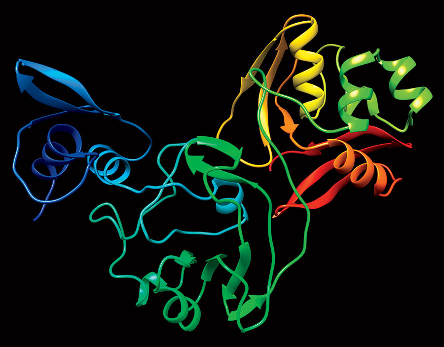 Virus proteins