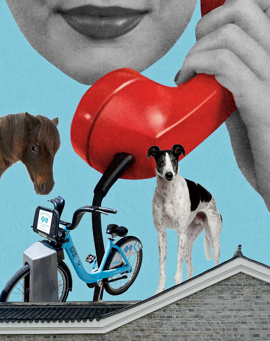 A horse, Divvy bike, and dog on a roof