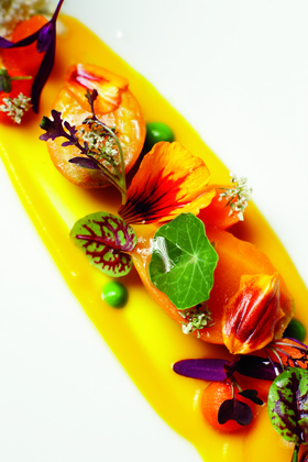 Goosefoot carrot puree