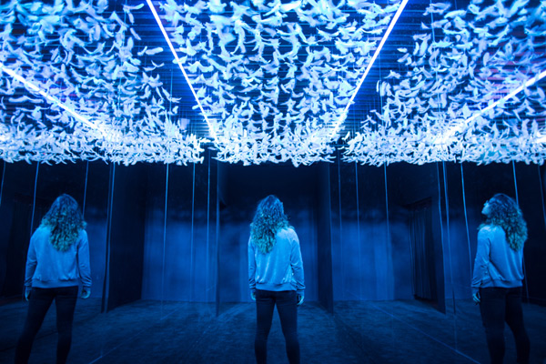nike house of go