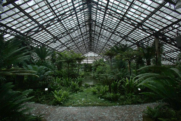 Garfield Park Conservatory hail damage