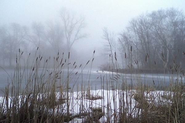 Humboldt Park Chicago