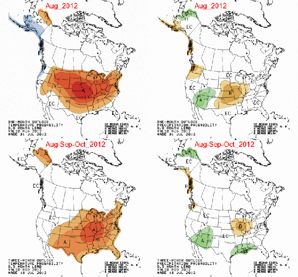 Illinois temperature precipitation forecast