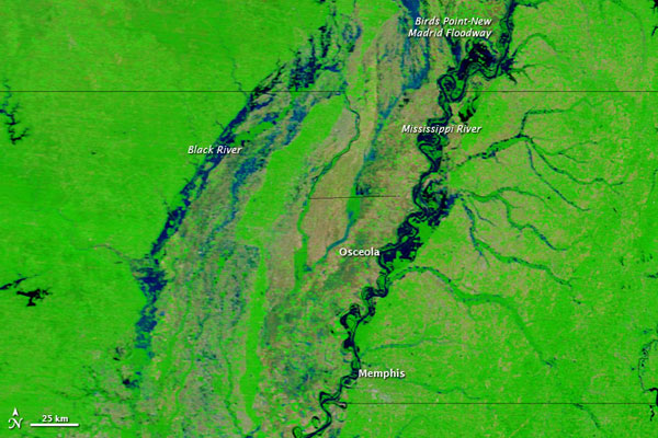 Mississippi River flood
