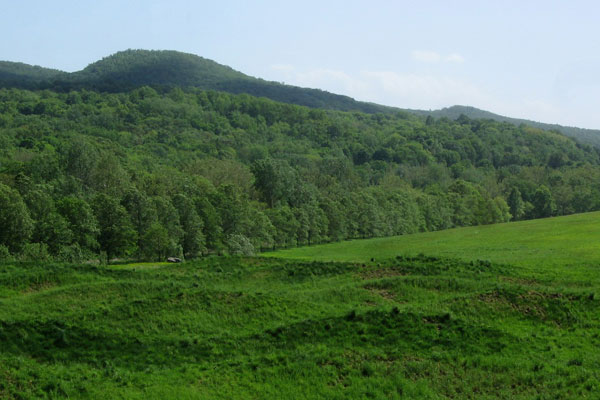 Maya Lin Storm King Wavefield