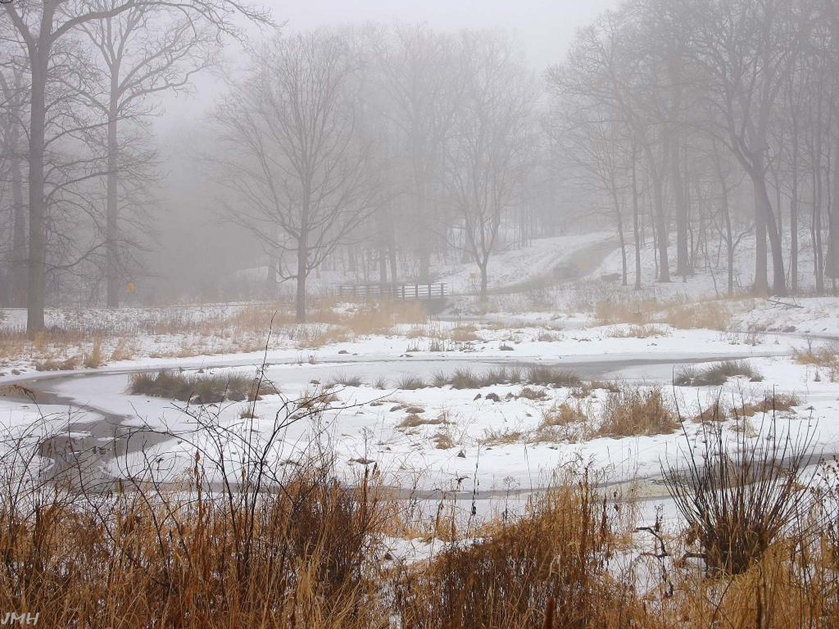 See Winter’s Beauty on Snowshoes Chicago Magazine