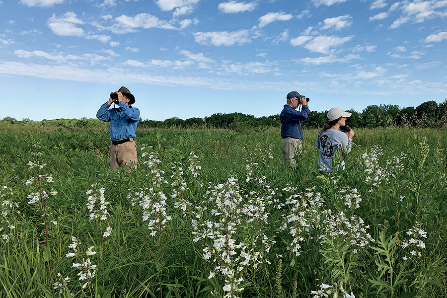 Midewin National Tallgrass Prairie