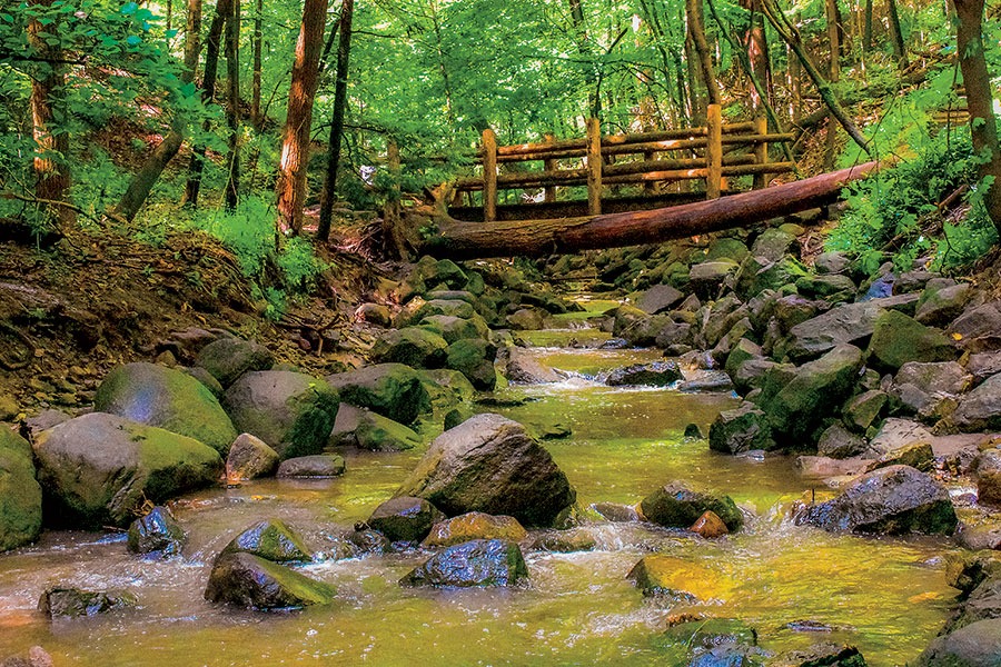 Seven Bridges Trail in Grant Park