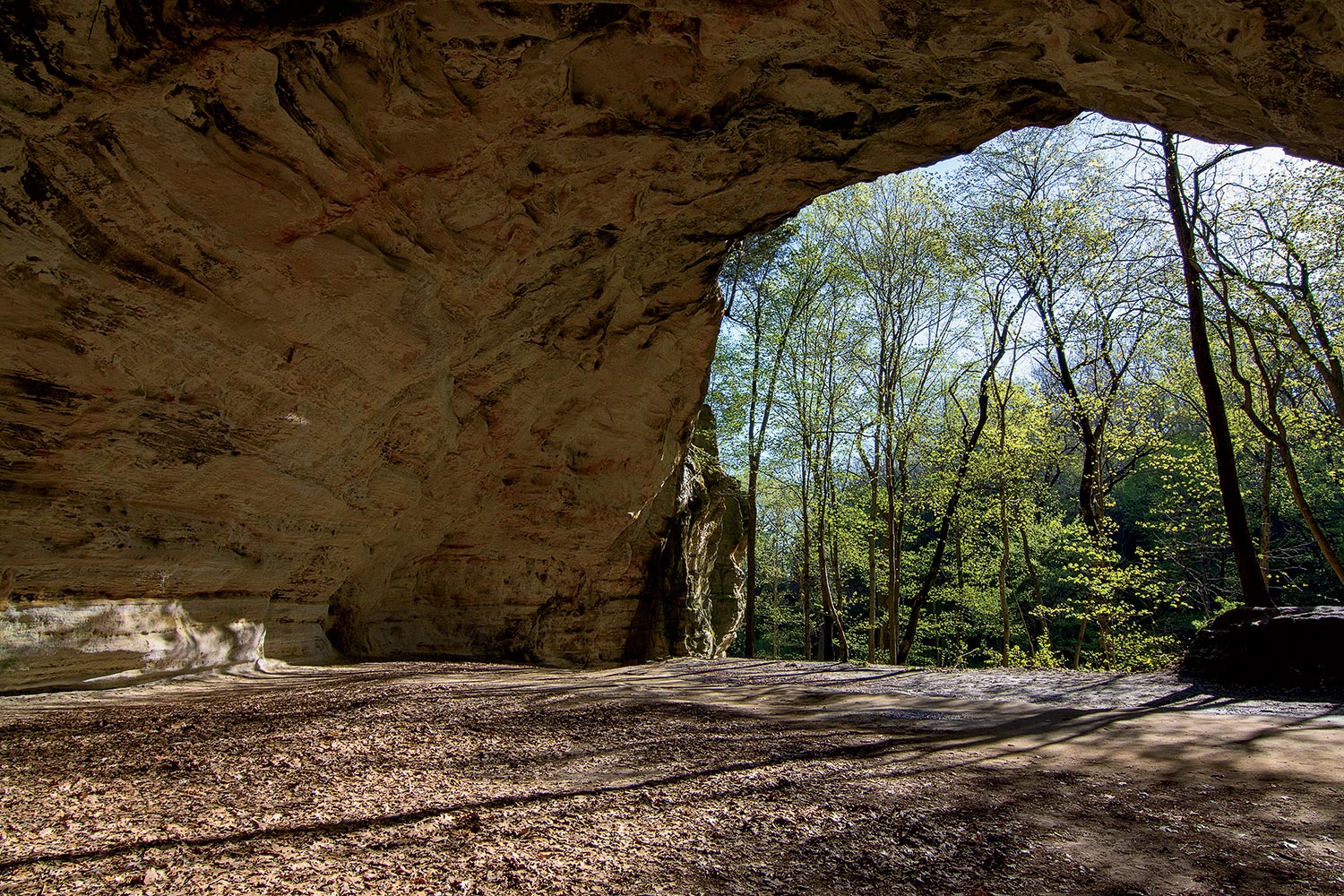 Starved Rock State Park