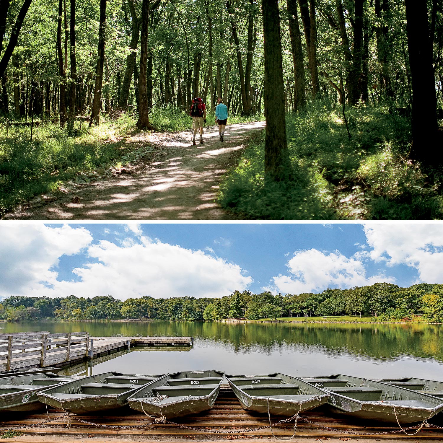 Top: Palos Park Woods in Palos Park; Bottom: Herrick Lake Forest Preserve in Wheaton
