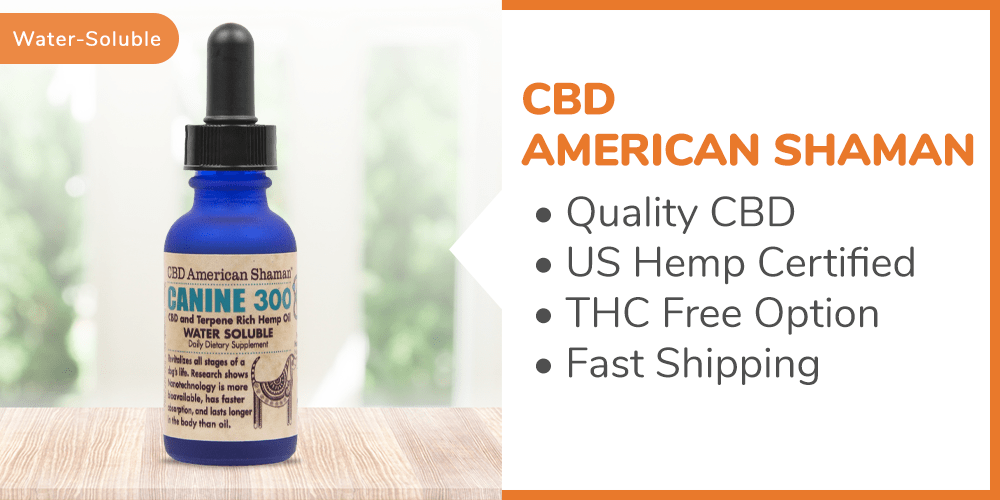 Best cbd tincture for dogs