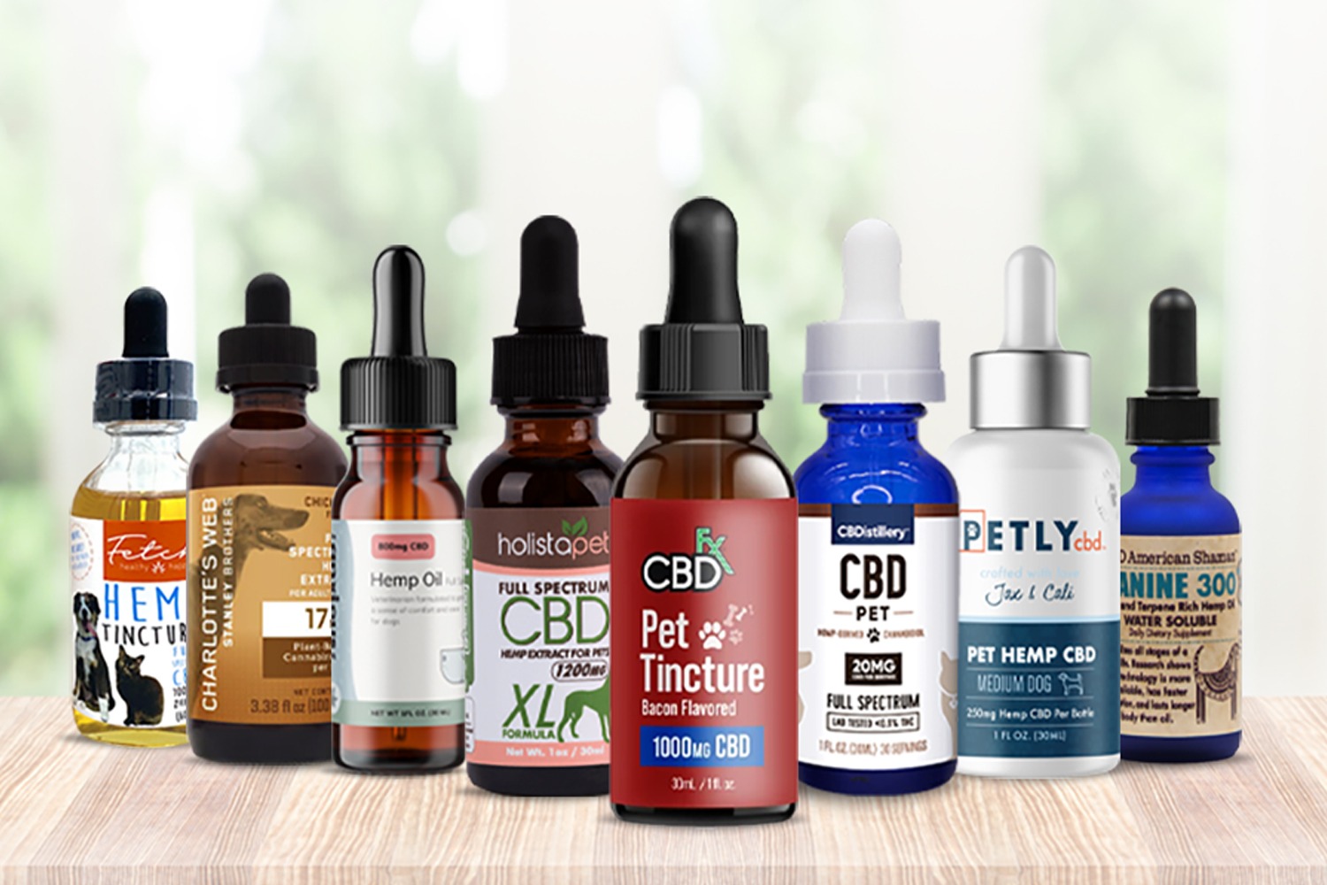 CBD Oil for Dogs - CBD for Dogs - HolistaPet