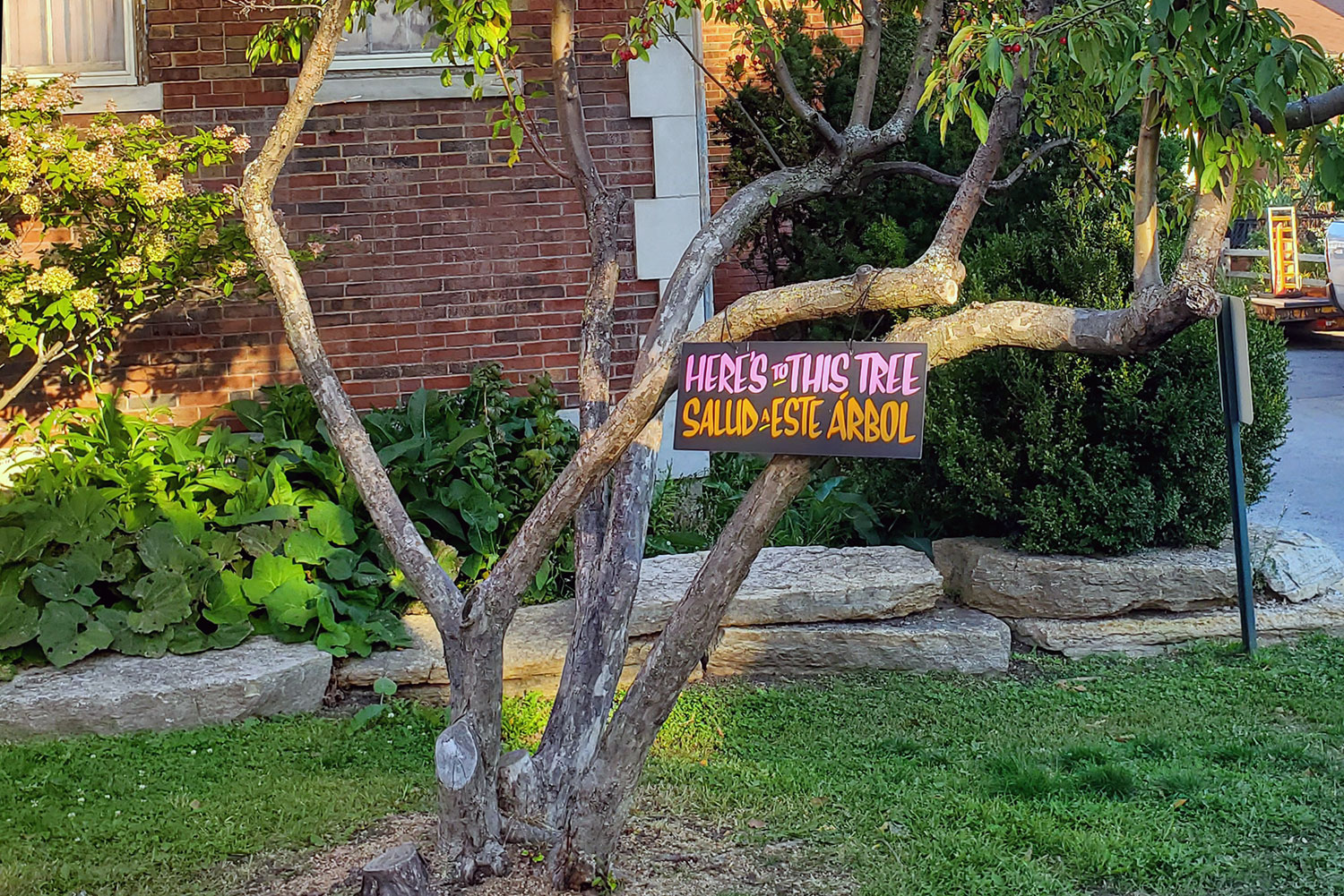 Gratitude, Music, and a Toast to a Tree in Kilbourn Park Chicago Magazine