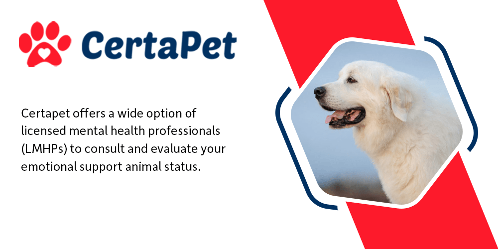 Top 3 ESA Letter Services of 2023 – Fast & Easy Emotional Support Animal Letters – Chicago Magazine Top 3 ESA Letter Services of 2023 – Fast & Easy Emotional Support Animal Letters – Chicago Magazine