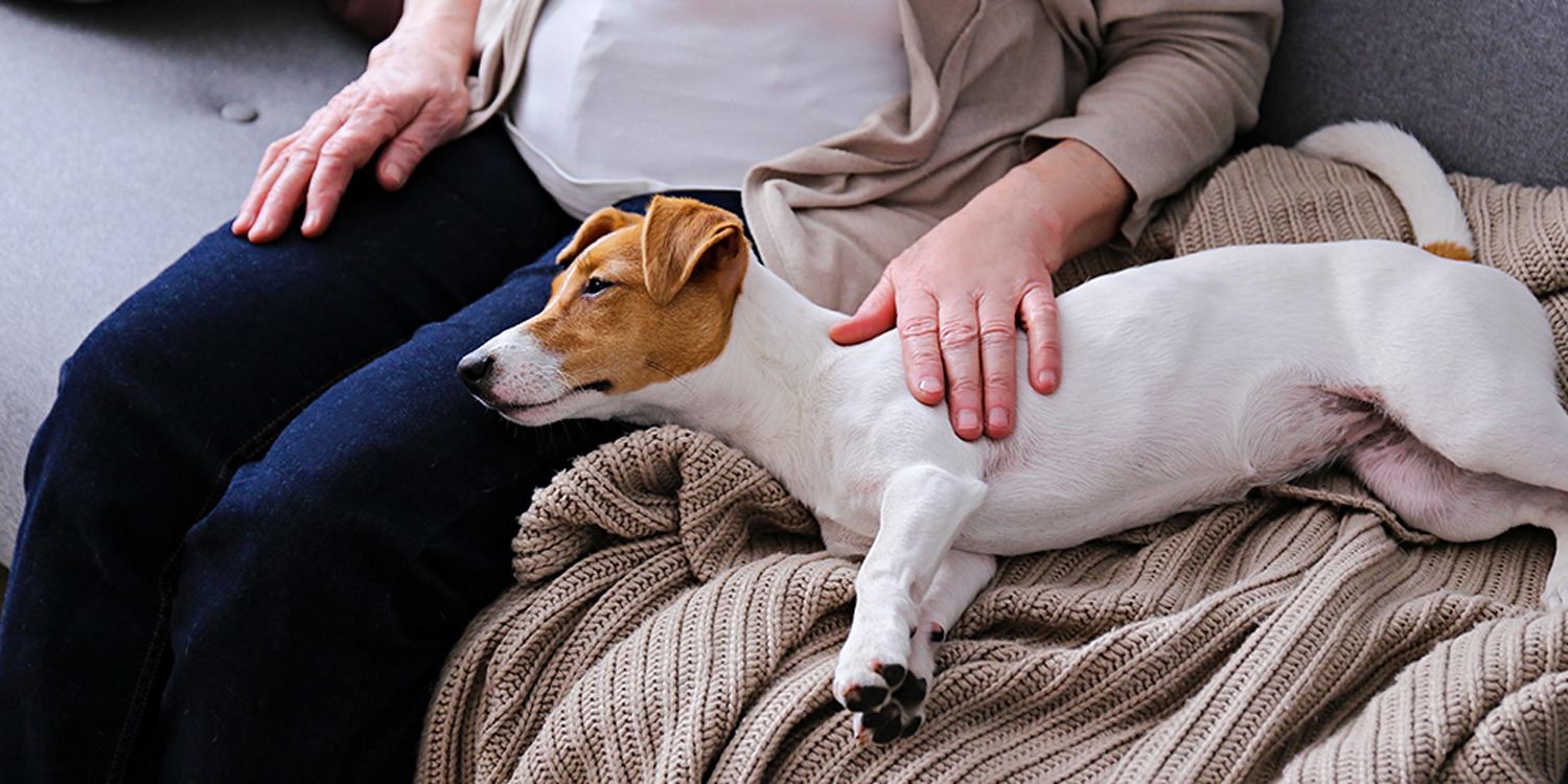 do you need a doctors note for an emotional support dog