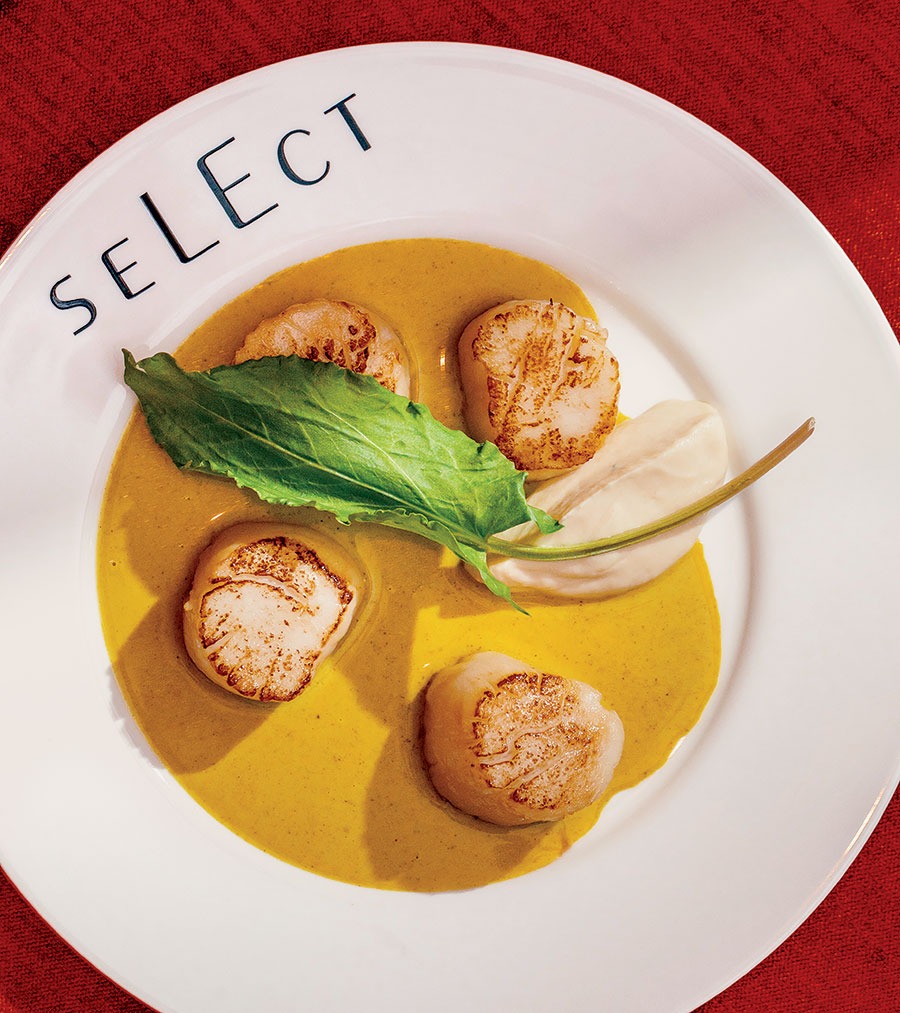 Scallops in curry