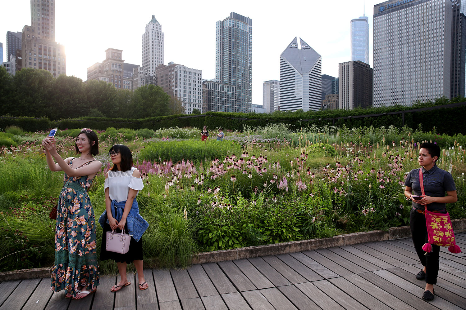 How Piet Oudolf Lurie Garden To