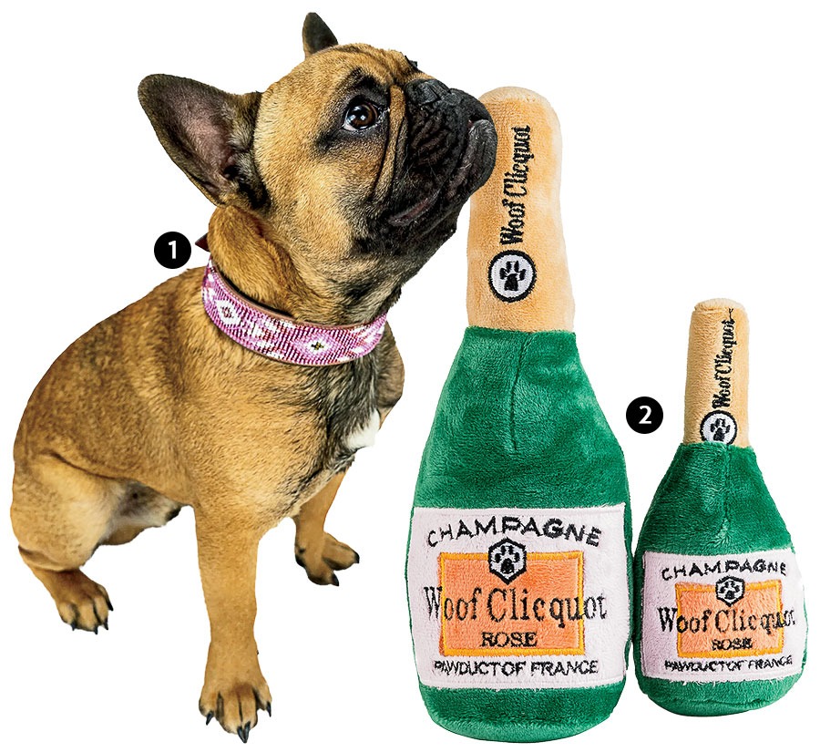 A dog wearing a Sambboho collar, and a Woof Clicquot Champagne toy