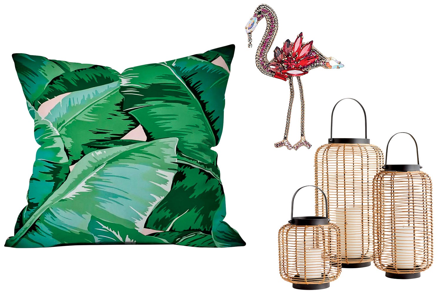 Tropical Cool
