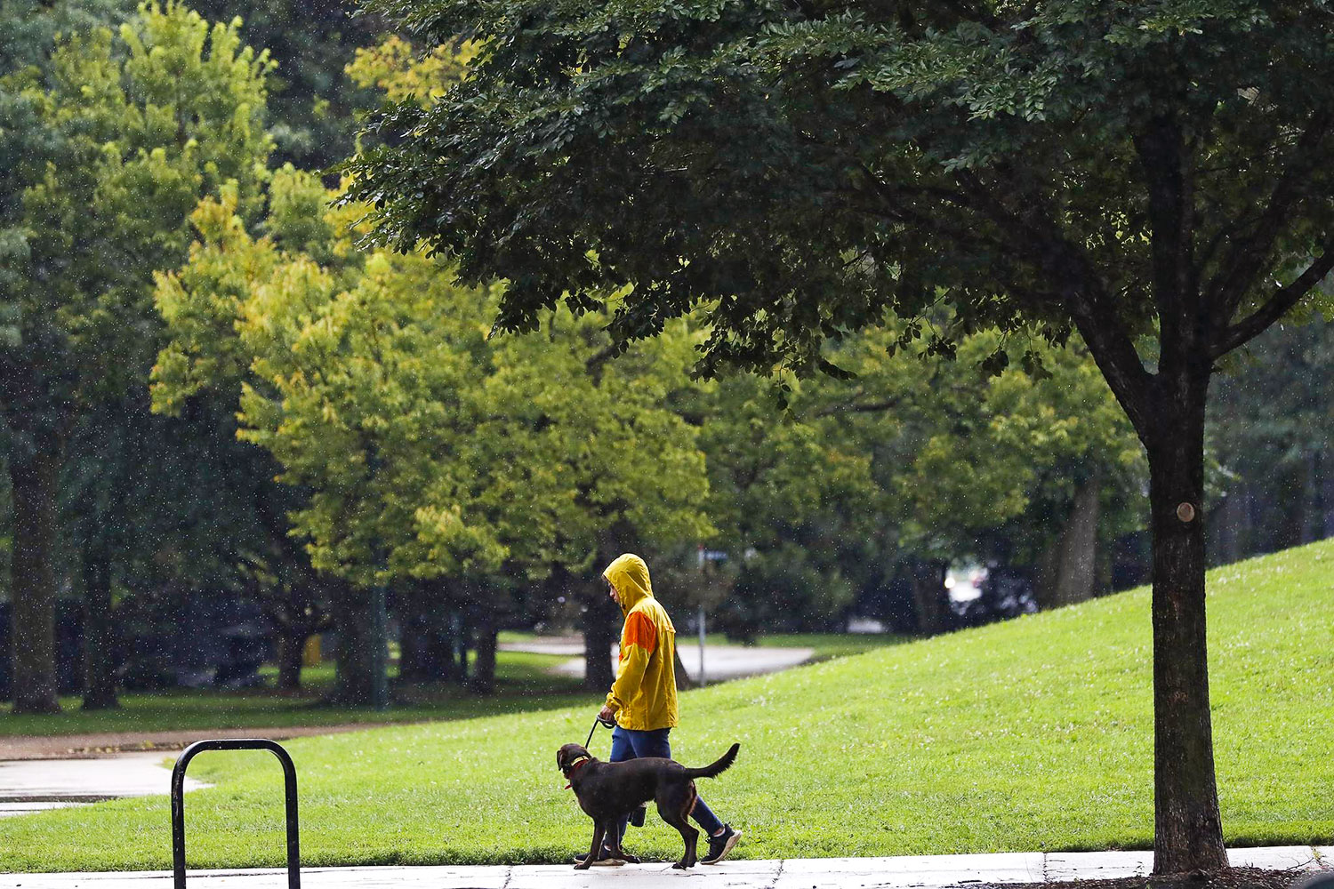 A person in a raincoat walking a dog in Oz Park